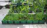 [开心阳台]14联2平方种植箱 阳台种菜大塑料花盆 环保可扩展菜园