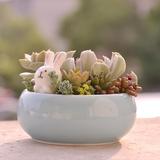 慢生活- 萌兔创意简约多肉植物陶瓷小花盆 可爱卡通田园桌面zakka