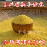 黄小米 沂蒙山区农家 月子米 小黄米 250g无污染宝宝米 满额包邮