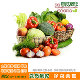 无公害净菜配送套餐 新鲜蔬菜套餐 共80斤 10斤*8次/月 西安同城