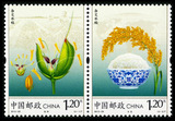 新中国邮票 2013-29 杂交水稻(T) 邮票/集邮/收藏