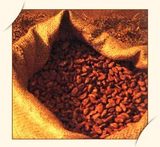 特价销售西非天然可可豆100g  质优 可可粉原料