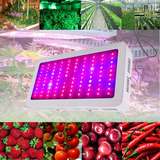 LED植物生长灯300W红蓝农场园艺节能光合补光植物灯种植