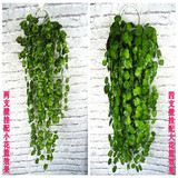 壁挂仿真植物藤条藤蔓水管道装饰花绿植墙吊篮葡萄叶子绿萝叶假花