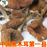 东北黑龙江龙宾耳野生榛蘑菇  土特产干货山珍 新货250克 3份包邮