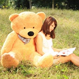 女孩毛绒玩具新款2岁18米大泰迪熊大号抱抱熊女生情人节生日礼物
