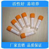 铜绿假单胞杆菌[CMCC10104] 等标准菌液、菌株（ATCC、CMCC）系列