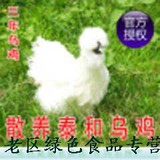 特色中国正宗武山泰和乌鸡原种乌骨鸡散养土鸡月子老母鸡十大名鸡