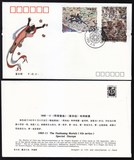 1992-11（敦煌壁画）总公司首日封 集邮 收藏