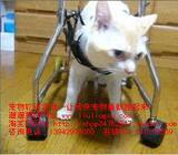宠物轮椅/狗轮椅/猫轮椅/小宠物代步车/瘫痪猫轮椅/猫用残疾车
