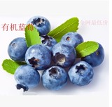 【三毛果宅】智利特级蓝莓鲜果 新鲜水果含花青素 4盒装全国包邮