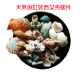 【天天特价】天然贝壳海螺鱼缸造景水族箱摆件鱼池假山创意装饰品