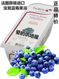 法国进口宝茸 蓝莓果泥/果茸&nbsp; 1KG原装纯天然水果茸 6盒批发