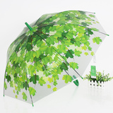 创意阿波罗树叶公主伞个性塑料半透明伞可爱蘑菇雨伞半自动长柄伞