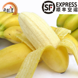 【顺丰包邮】海南三亚新鲜水果 皇帝蕉 小米蕉 香蕉 3斤装