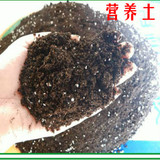特价专家配置通用型大包有机营养土养花土种菜土泥炭土培养土