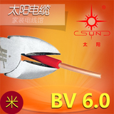 BV6.0家装电线进户线太阳电缆南平太阳牌电线 1米零卖 指定运营商