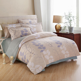 紫兰玉纯棉四件套 全棉床上用品床品4件套床单被套特价1.5m/1.8m