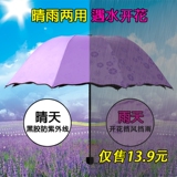 韩国晴雨伞遇水开花伞创意太阳伞女防晒黑胶三折伞折叠雨伞遮阳伞