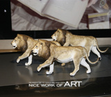 雄狮狮子GK预定 动物模型特价思乐PAPO Safari Collecta正品白模