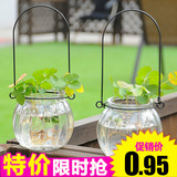 南瓜玻璃吊瓶 带铁圈 水培植物花卉盆栽绿植花瓶玻璃绿萝