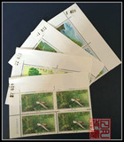 1998-13 神农架 左上厂名方连 邮票集邮收藏邮品