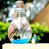 marimo幸福海藻球微景观生态瓶创意盆栽球藻日本灯泡微多肉植物