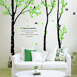 一代墙贴温馨卧室客厅走廊厅电视背景超大型树形墙贴纸白桦林