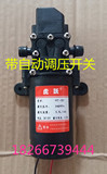 农用电动喷雾器水泵 12V压力水泵 微型高压打药机隔膜泵