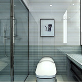300600客厅厨房釉面内墙砖卫生间厕所洗手间瓷片浴室厨卫地板瓷砖