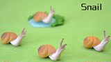仿真动物模型玩具塑胶昆虫蜗牛模型玩具 超可爱 清仓特价！