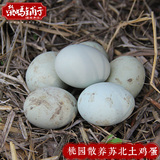 绿壳土鸡蛋农家散养乌鸡蛋 当天产新鲜草鸡蛋纯天然月子送礼30只