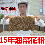 新鲜青海油菜花粉 天然蜂花粉未破壁 正品纯农家 买5送1 500G