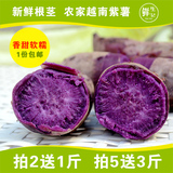 越南紫薯新鲜生小紫心薯红薯番薯地瓜 广西特产粗粮甘薯2斤装包邮