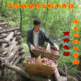 房县野生椴木香菇干货冬菇土特产 蘑菇农家自产山货250克