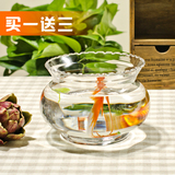 创意水培花器 花边生态透明 圆形玻璃 金鱼缸 乌龟缸 花瓶装饰