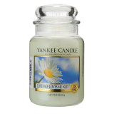 美国进口YANKEE CANDLE扬基雏菊心语纯天然植物香薰精油香氛蜡烛