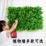 挂墙立体墙草绿化绿植塑料地毯加密装饰壁挂人造草坪仿真植物墙