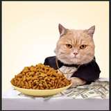 营养猫粮深海鱼肉味5kg成猫幼猫粮猫主粮海鲜味包邮批发特价10斤