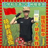 2015新米东北黑龙江五常特产稻花香2号有机贡大米真空米砖1斤包邮
