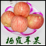 年货送礼品新鲜山东省烟台栖霞有机红富士80苹果水果5斤孕妇包邮