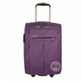 威豹拉杆箱 学生行李箱 短途出差拉杆箱18寸克色 紫色