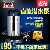 家用不锈钢潜水泵污水泵自吸泵12V24V48V农用抽水泵微型泵抽水机