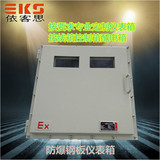 BXK51防爆仪表铁箱温控仪表配电箱钢板焊接防爆空箱接线箱电表箱