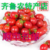 新鲜水果 山东特产寿光千禧圣女果 小番茄 小西红柿 柿子枣 2斤装