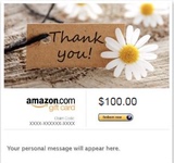 【联系再拍！】100美元 美国亚马逊Amazon Gift Cards礼品卡