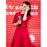 2016明星高圆圆同款红色连衣裙气质时尚百搭显瘦晚装高腰打底裙