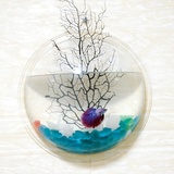 蚁族正品水族鱼缸小型圆形鱼缸壁挂式创意微景观装饰亚克力金鱼缸