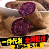 新鲜紫薯生紫心薯番薯山芋红薯地瓜粉 农家有机种植小紫薯5斤包邮