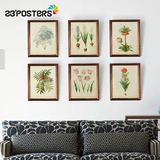 23'POSTeRS欧式装饰画客厅背景创意组合墙画餐厅植物挂画标本图谱